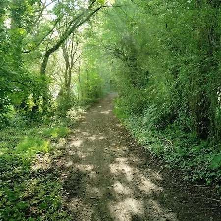 Apartamento Au Ptit Canin