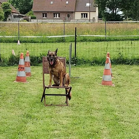 Apartamento Au Ptit Canin