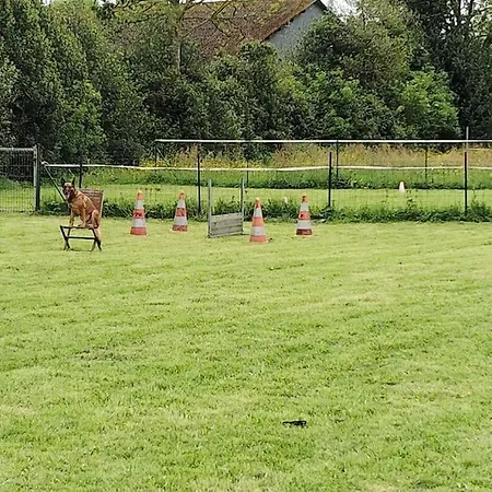 Au Ptit Canin Appartement *