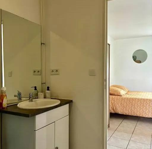 Au Ptit Canin Apartment *