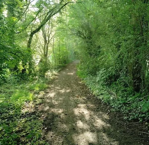 Apartment Au Ptit Canin