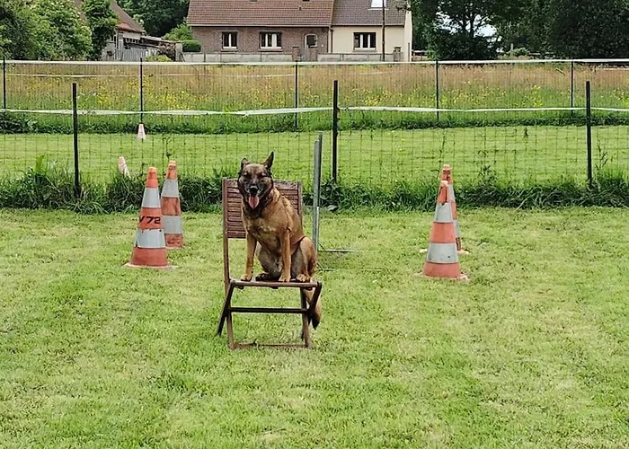 Apartment Au Ptit Canin
