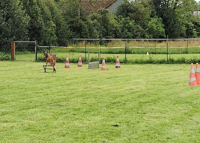 Au Ptit Canin Apartment *